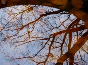 Brunn på kyrkogård. Berlin.