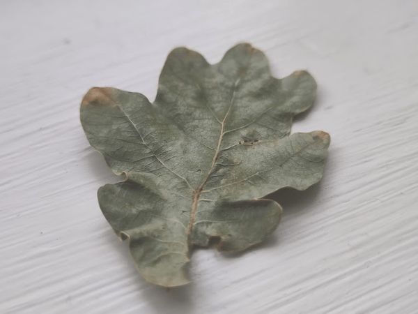 Vad går du och grunnar&nbsp;på?